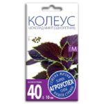 Колеус Шоколад Минт, семена Агроуспех 5шт (100)