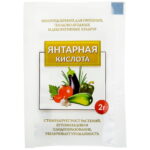 Янтарная кислота 2г