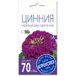 Цинния Ежевичный джем (пурпурная),семена Агроуспех 0,3г (300)