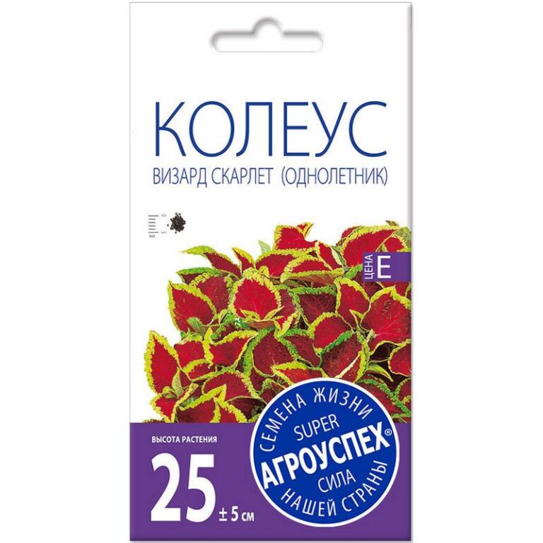 Лц/колеус Визард Скарлет  О *10 шт (Новинка)  (600)