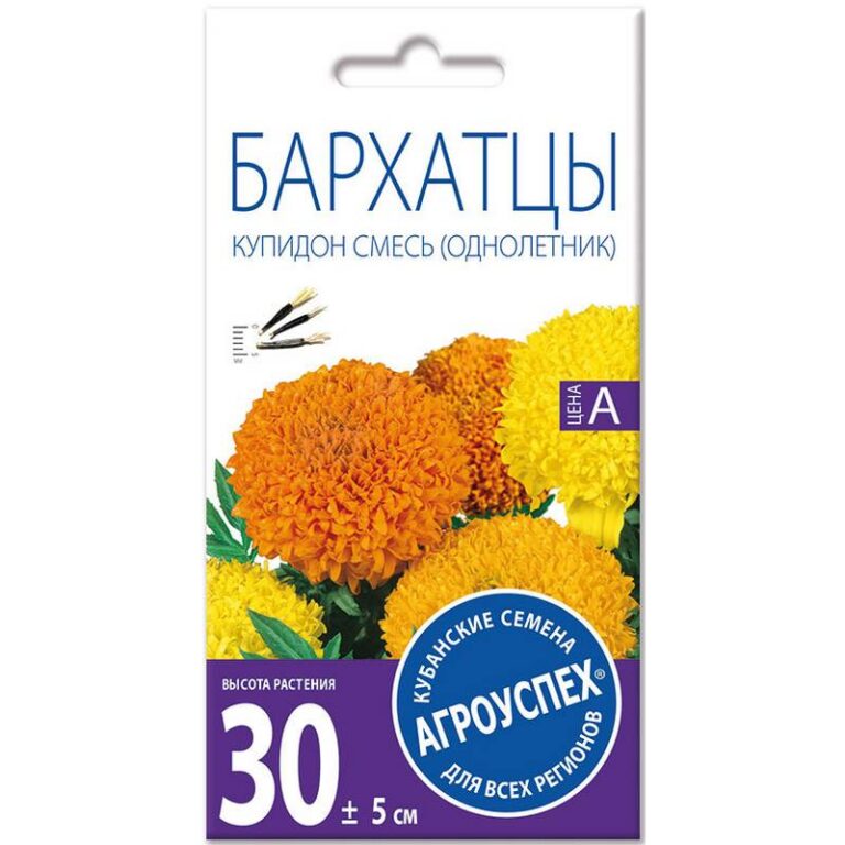 Лц/бархатцы Купидон хризантемовид. О*0,3г  (500)