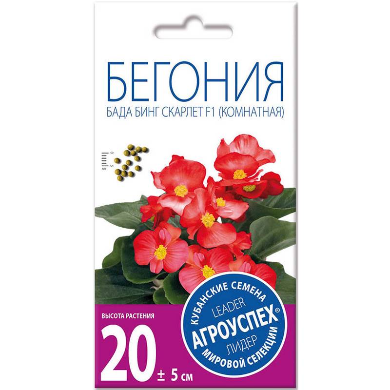 Лц/бегония Бада Бинг Скарлет вечноцветущая О *10 шт (Новинка) Лц/бегония Бада Бинг Скарлет вечноцветущая О *10 шт (Новинка)