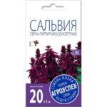 Лц/сальвия Свеча пурпурная F1 О* 10 шт (500)