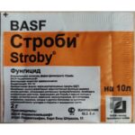 Стр 2г
