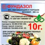 Фундазол пакет 10 г