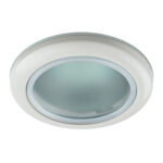 WR1 WH Светильник ЭРА влагозащищенный MR16,12V/220V, 50W белый (100/2400)