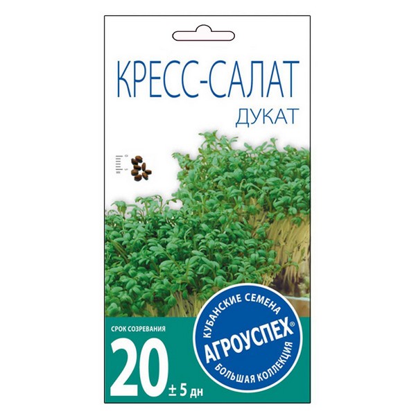 Л/салат индау (рукола) Диковина *1г