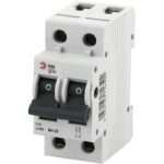 Выключатель нагрузки ЭРА PRO NO-902-95 ВН-32 2P 25A