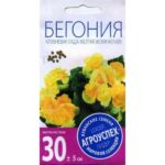 ЛцК/бегония Лада желтая клубневая F1*8шт  (400)