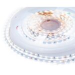 R00-380 Светодиодная лента 24В, 5,4Вт/м, smd2216, 120д/м, IP20, 480Лм/м, ширина   подложки 4мм, 5м, х/б, 6500К