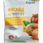 Инсайд 5мл №200